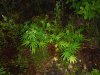 DSCF8571.JPG