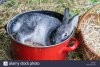 a-gray-rabbit-in-a-red-pot-JEBHHD.jpg