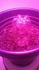 20180617_134345.jpg