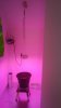 20180615_124519.jpg