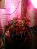 IMG_20180616_170936.jpg