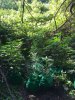 18495F48-BD33-4CAC-B8E2-BDCAD90D8E74.jpeg