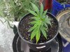20180618_155247.jpg 20180618_155247.jpg
