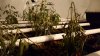 20180620_064757.jpg