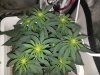 20180620_064559.jpg