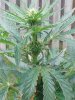 20180621_103005.jpg