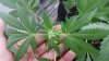 20180329_052947.jpg