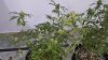 20180511_020802.jpg