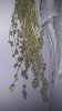 20180514_072229.jpg