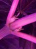 20180627_201448.jpg