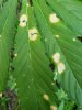20180628_180244.jpg