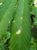 20180628_180240.jpg