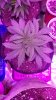 20180628_191048.jpg