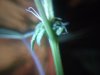 20180630_162608.jpg