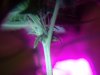 20180630_162437.jpg