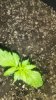 20180703_123915.jpg