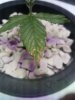 20180705_123051.jpg