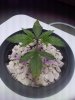 20180705_123130.jpg