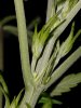 20180706_113739.jpg