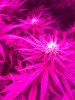 D90EA15E-F780-4F55-9F7A-DF0231D5323B.jpeg
