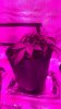 12062EF0-5DC7-4238-BAF7-EF6975C30EF7.jpeg