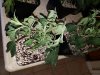 20180707_100256.jpg