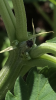 D2A11A3D-564E-4C71-9DF6-5FF8E5139E2B.png
