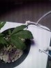 20180709_203423.jpg