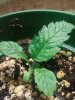 20180709_193749.jpg 20180709_193749.jpg