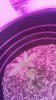20180709_152927.jpg