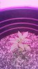20180709_152922.jpg