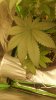 20180711_004536.jpg