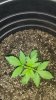 20180711_143634.jpg