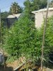 20180711_091652.jpg
