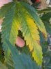 20180711_110218.jpg 20180711_110218.jpg
