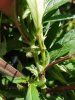 20180711_142524.jpg
