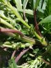 20180711_142433.jpg