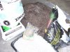 100_8875.JPG 100_8875.JPG