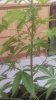 20180712_214148.jpg