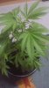20180712_214555.jpg