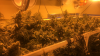 36B349C5-05B4-418C-ACD2-593578FE6F54.png