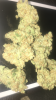BB0F0A4A-9342-47B9-9DA6-399D4A58F119.png