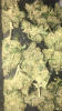 4BE041D9-5E0B-4CDB-8CB5-AD799C03C2F8.png