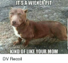 its-a-wiener-pit-kind-of-like-your-mom-dv-32473494.png