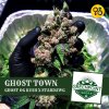 ghost-town-ghost-og-kush-cannabis-seeds (1).jpg