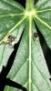 E0605FF5-983E-42C3-B914-6B1EA230BF6A.png