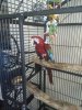 IMG_20180720_101018.jpg