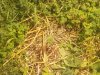 20180721_232058.jpg