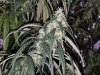 20180721_115034.jpg