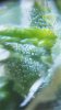 20180721_125854.mp4_snapshot_05.15_[2018.07.22_13.52.17] (2).jpg